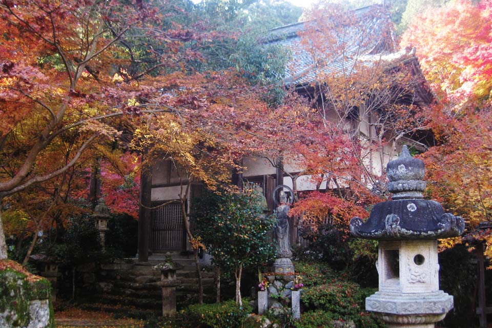 It is said that this temple was ordered to be built by Prince Shotoku Taishi when the horse he was riding had turned into stone in the pond. The name, Ishibaiji (stone horse), comes from this story. In the treasure archive, there are 11 Buddhist statues on display that are national important cultural properties, including the Ennojyo Koshikakezo Statue and Juichimen Bodhisattva Statue. 